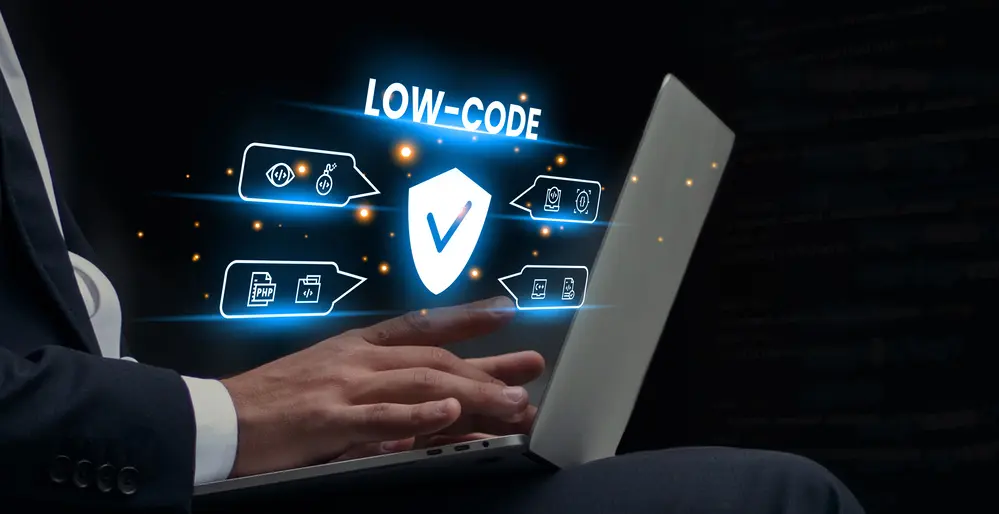 ローコードとは何?ノーコードとの違いやメリット・デメリットを解説_記事のイメージ図