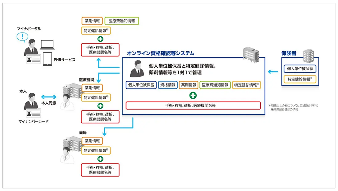 データヘルス集中改革プランにおける「医療情報を患者や全国の医療機関等で確認できる仕組み」のイメージ