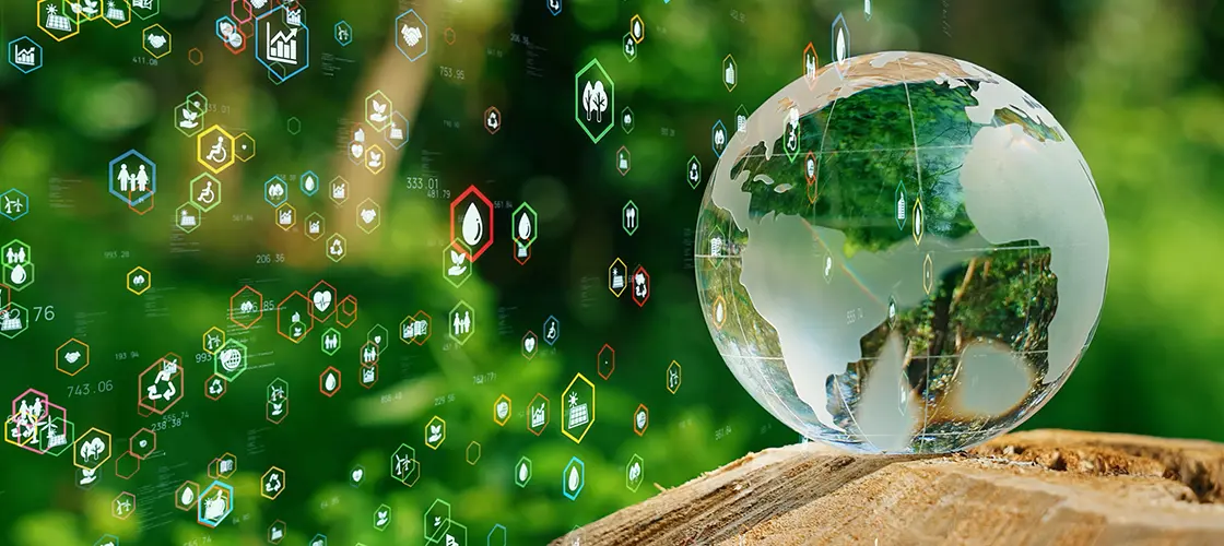 株式会社クエストのサステナビリティの取り組み