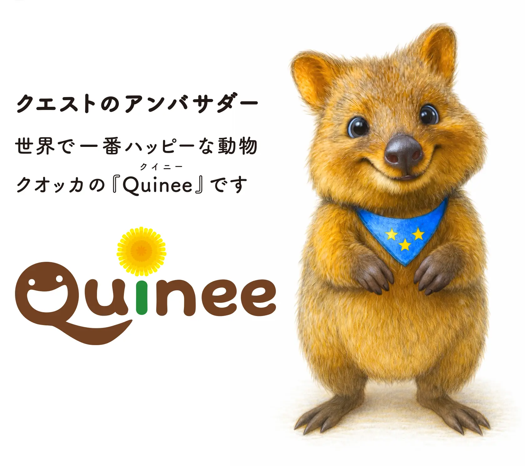 クエストグループ公式 アンバサダーの「クイニー(Quinee)」